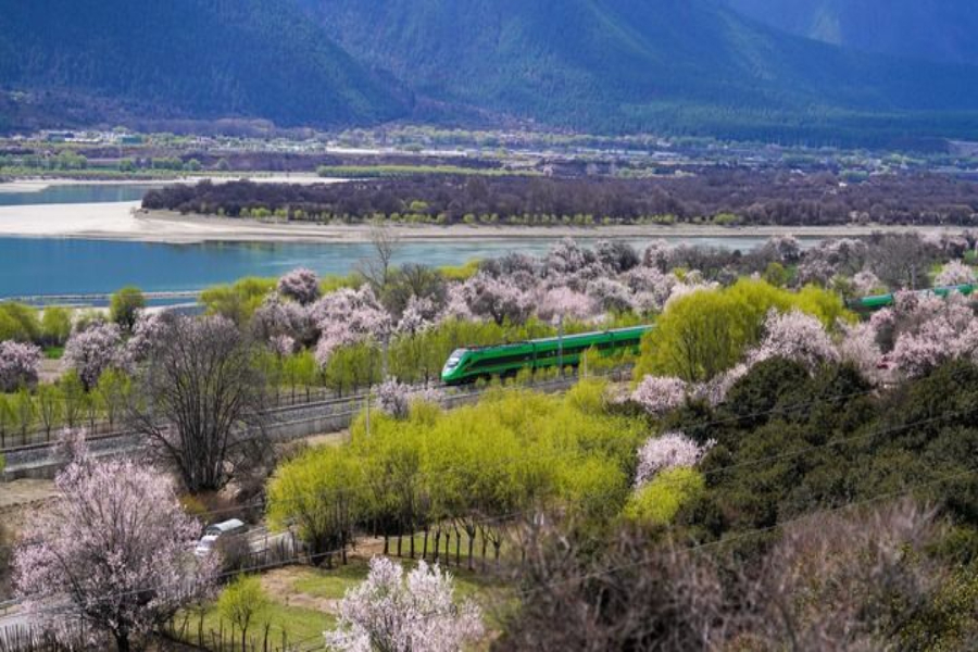 確保基本實(shí)現(xiàn)社會(huì)主義現(xiàn)代化取得決定性進(jìn)展——寫在黨的二十屆四中全會(huì)召開(kāi)之際