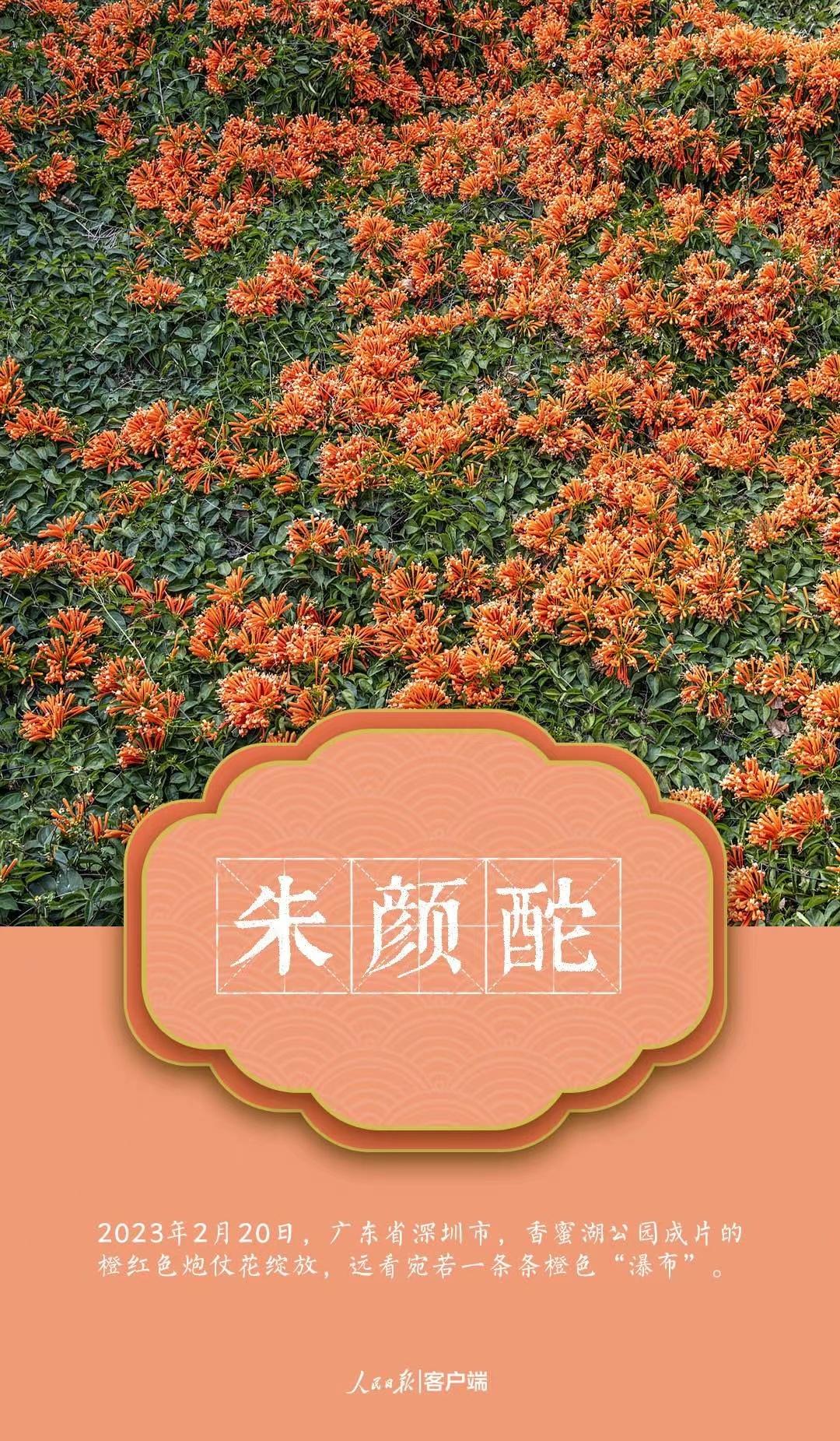 微信圖片_202303222141254.jpg?x-oss-process=style/w10